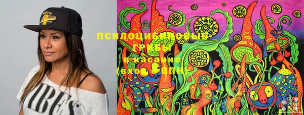 дмт Алексеевка