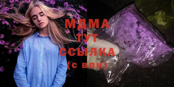 индика Алексин