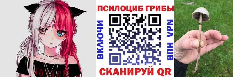 Галлюциногенные грибы Cubensis  Солнечногорск 